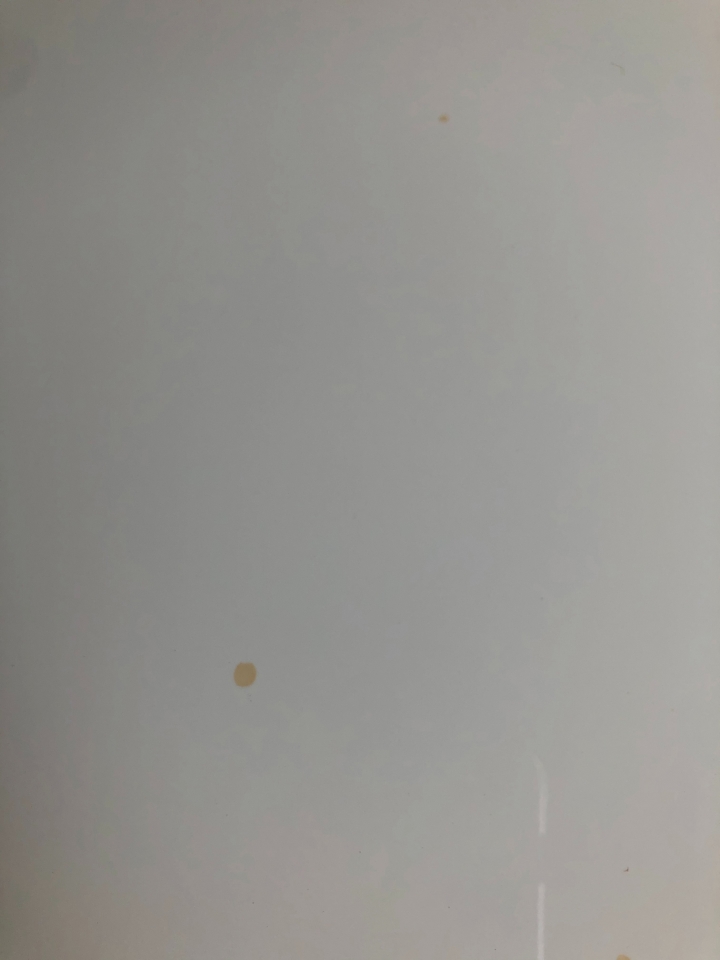 <求救>Toyota Altis 板金上橘黃點怎麼消除?