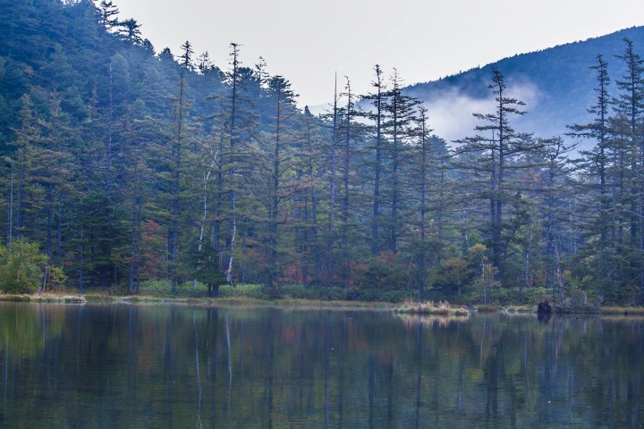 點我看大圖 【日本登山初體驗】旅途的尾聲(四)明神池與梓川右岸