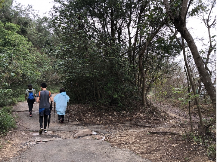 親近高雄大自然,北壽山(北柴山)散步行,路線分享!