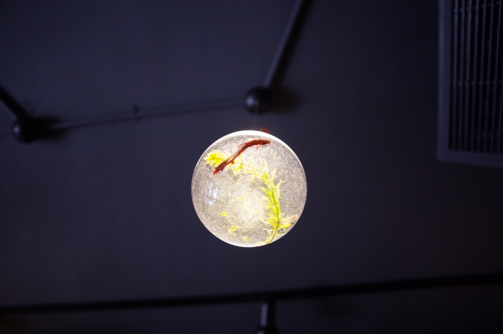 [宜蘭散步] 莎菈菈 CANON 5D2 + 24/2.8