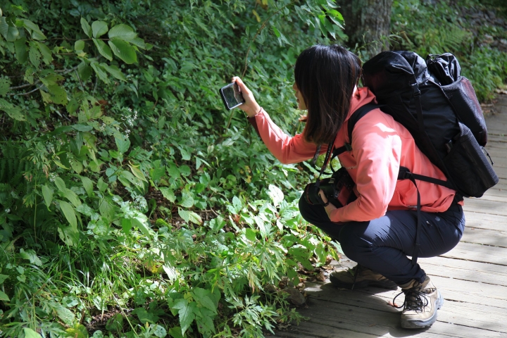 點我看大圖 【日本登山初體驗】旅途的尾聲(四)明神池與梓川右岸