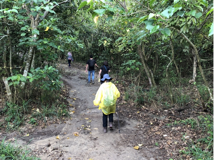 親近高雄大自然,北壽山(北柴山)散步行,路線分享!