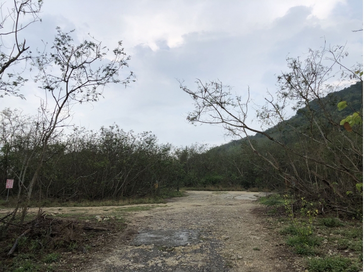 親近高雄大自然,北壽山(北柴山)散步行,路線分享!