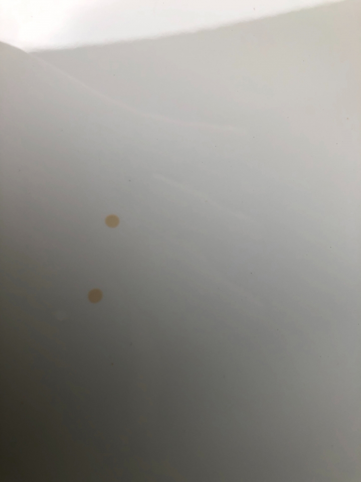 <求救>Toyota Altis 板金上橘黃點怎麼消除?