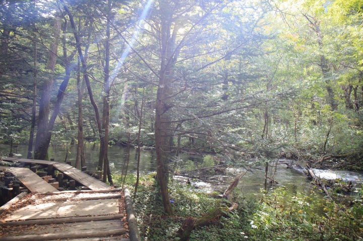 點我看大圖 【日本登山初體驗】旅途的尾聲(四)明神池與梓川右岸