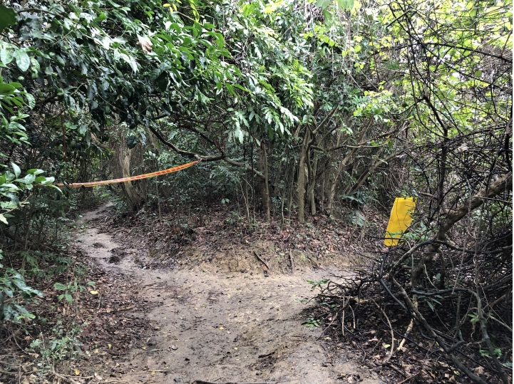 親近高雄大自然,北壽山(北柴山)散步行,路線分享!