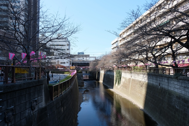 睽違已久的東京之旅 [圖多!]