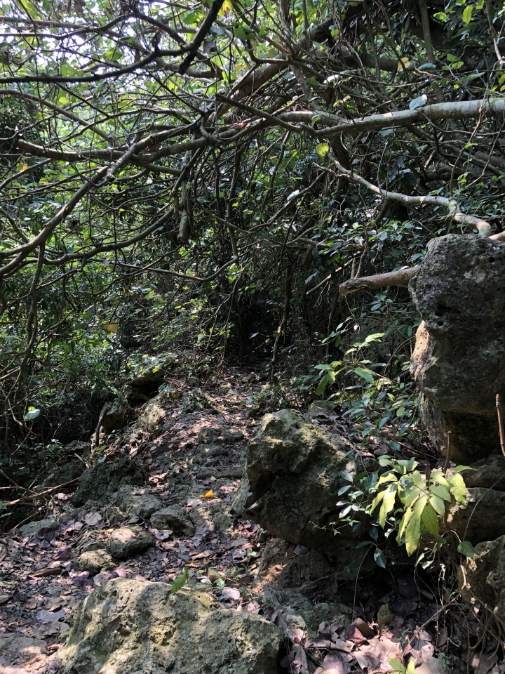 親近高雄大自然，南壽山（南柴山）散步行，路線分享！