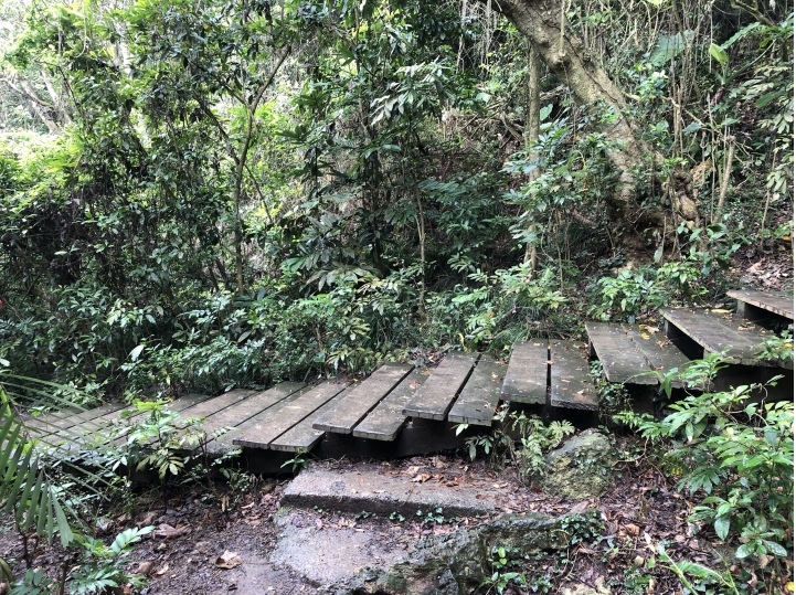 親近高雄大自然,北壽山(北柴山)散步行,路線分享!