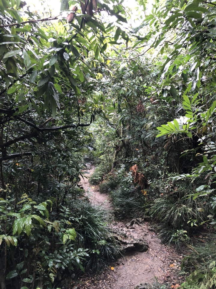 親近高雄大自然,北壽山(北柴山)散步行,路線分享!