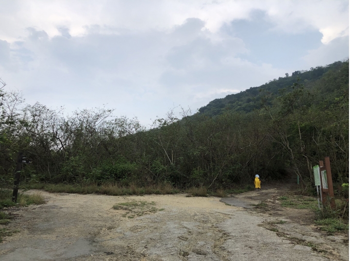親近高雄大自然,北壽山(北柴山)散步行,路線分享!