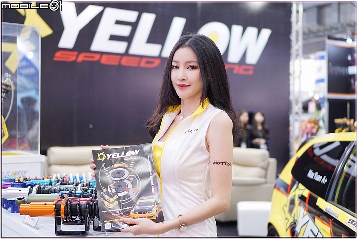 【車電展】擦亮眼睛,自己喜歡的車模自己挺