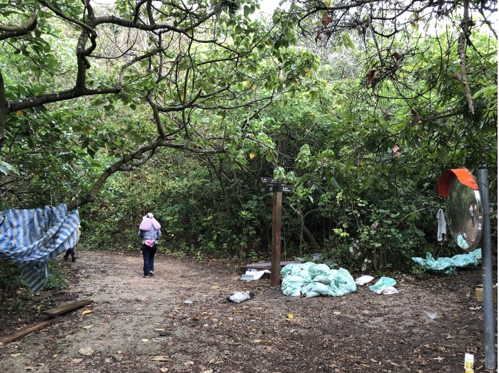 親近高雄大自然,北壽山(北柴山)散步行,路線分享!