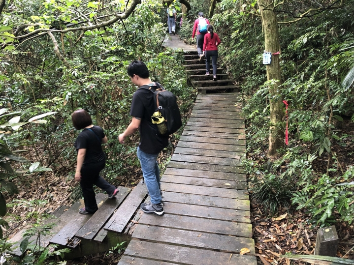 親近高雄大自然,北壽山(北柴山)散步行,路線分享!
