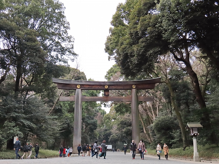 (映像旅行) 東京未來昔日 feat. Canon EOS M50 & PowerShot SX70 HS