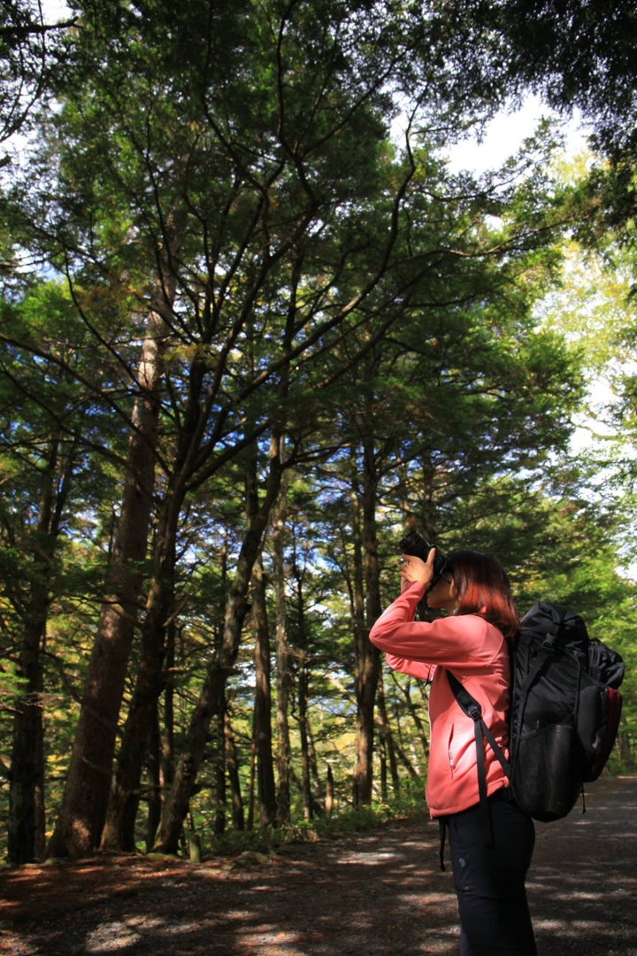 點我看大圖 【日本登山初體驗】旅途的尾聲(四)明神池與梓川右岸