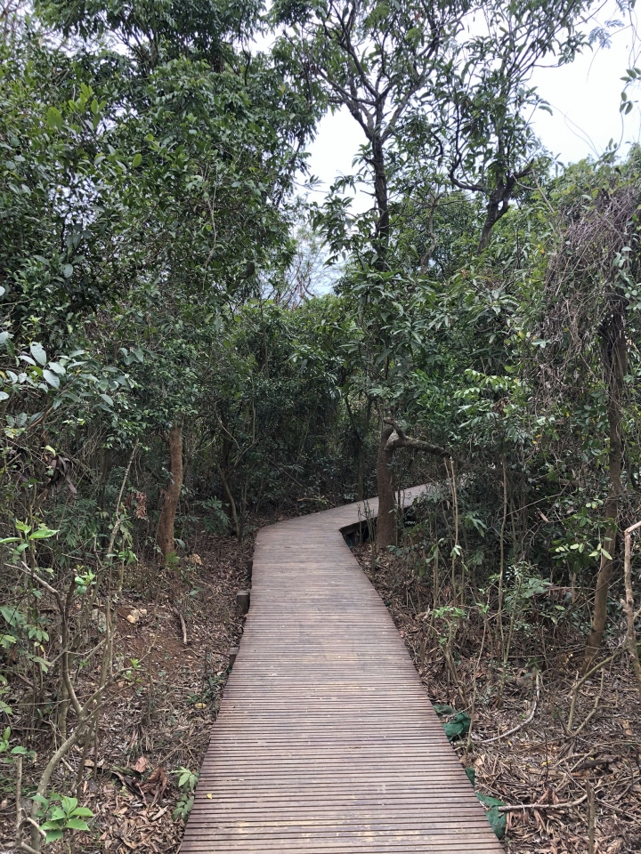 親近高雄大自然，南壽山（南柴山）散步行，路線分享！