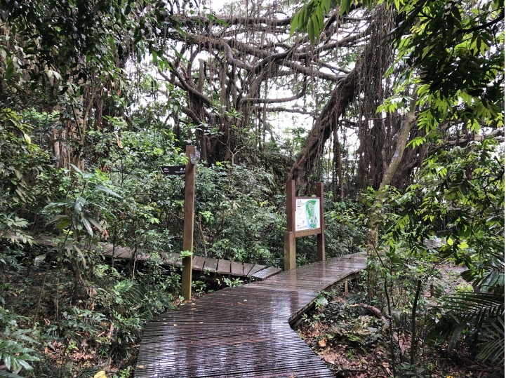 親近高雄大自然,北壽山(北柴山)散步行,路線分享!