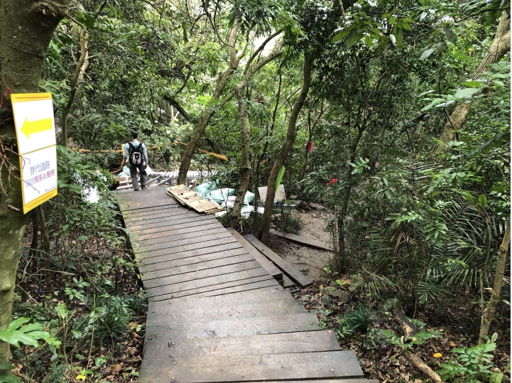 親近高雄大自然,北壽山(北柴山)散步行,路線分享!