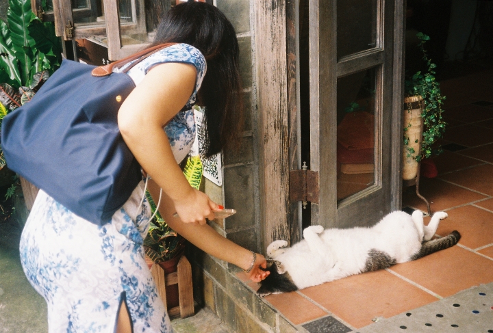 [Nikon TW20 QD]底片裝了就只好拍底片[Kodak 400]