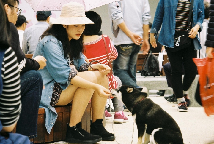 [Nokia 6.1+][ft. Olympus Stylus ZOOM 140]府音樂會[Kodak 200]