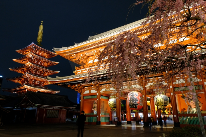 睽違已久的東京之旅 [圖多!]