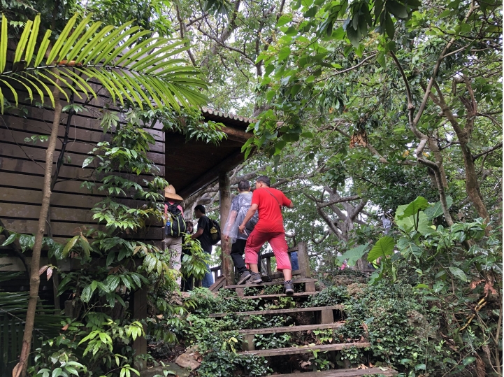 親近高雄大自然,北壽山(北柴山)散步行,路線分享!