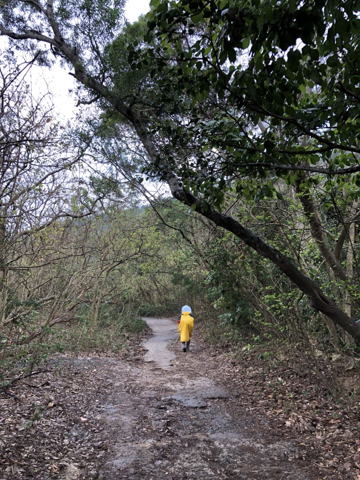 親近高雄大自然,北壽山(北柴山)散步行,路線分享!