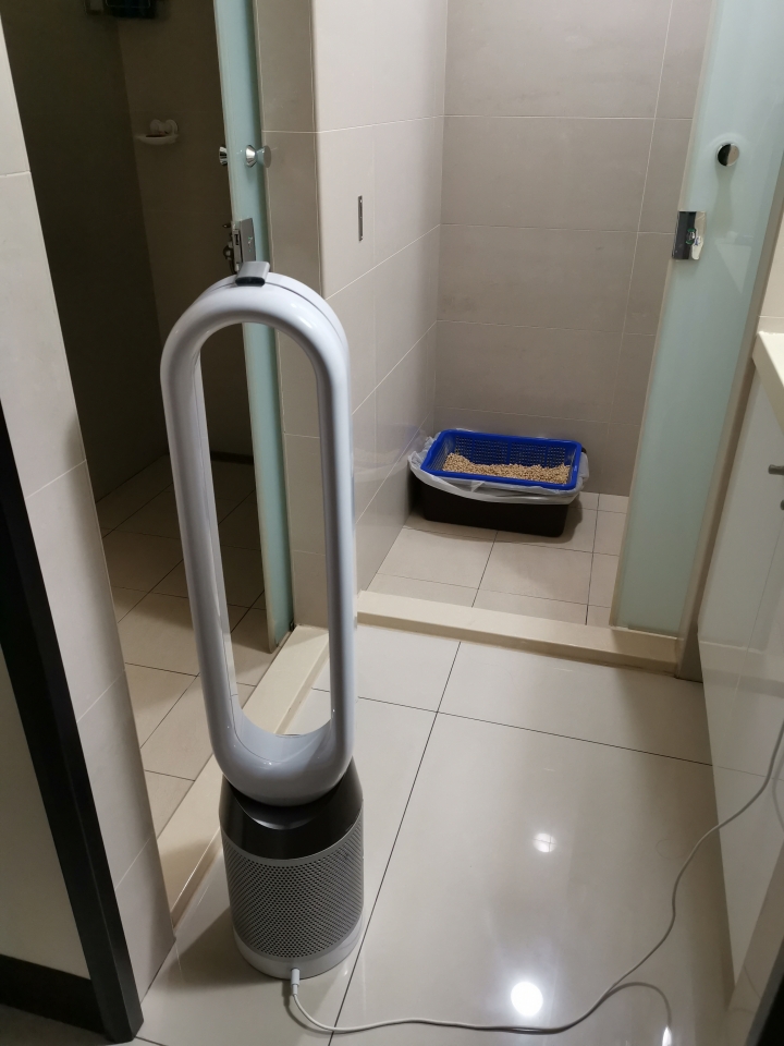 Dyson Pure Cool™智慧空氣清淨機TP04：簡單享受涼風好空氣