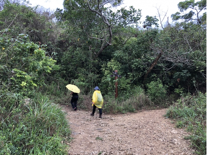 親近高雄大自然,北壽山(北柴山)散步行,路線分享!