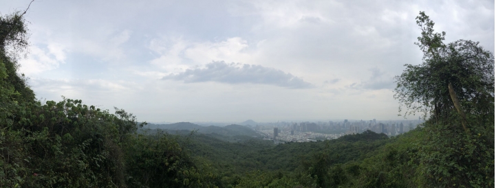 親近高雄大自然,北壽山(北柴山)散步行,路線分享!