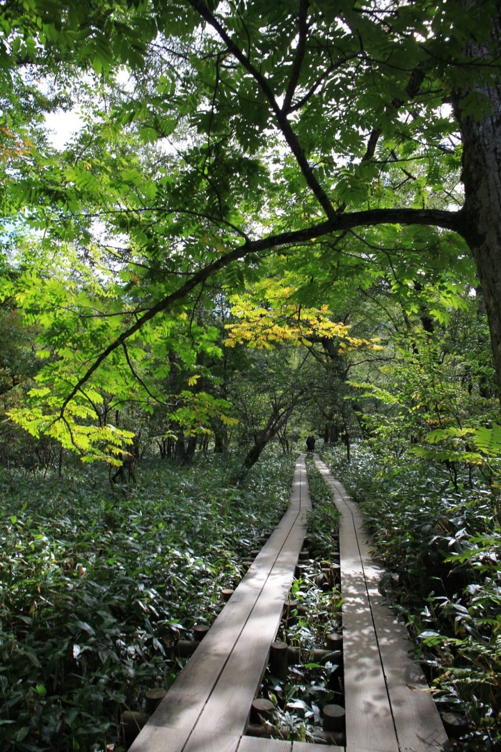 【日本登山初體驗】旅途的尾聲（四）明神池與梓川右岸