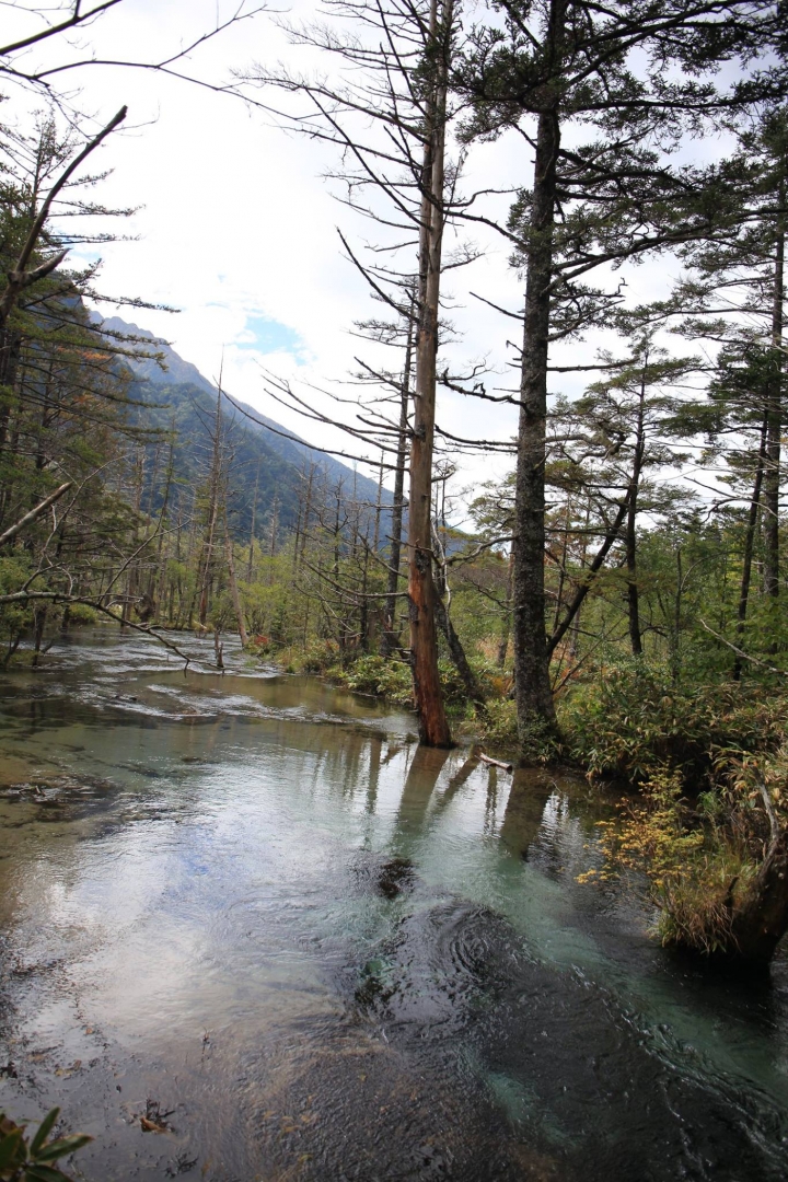 點我看大圖 【日本登山初體驗】旅途的尾聲(四)明神池與梓川右岸