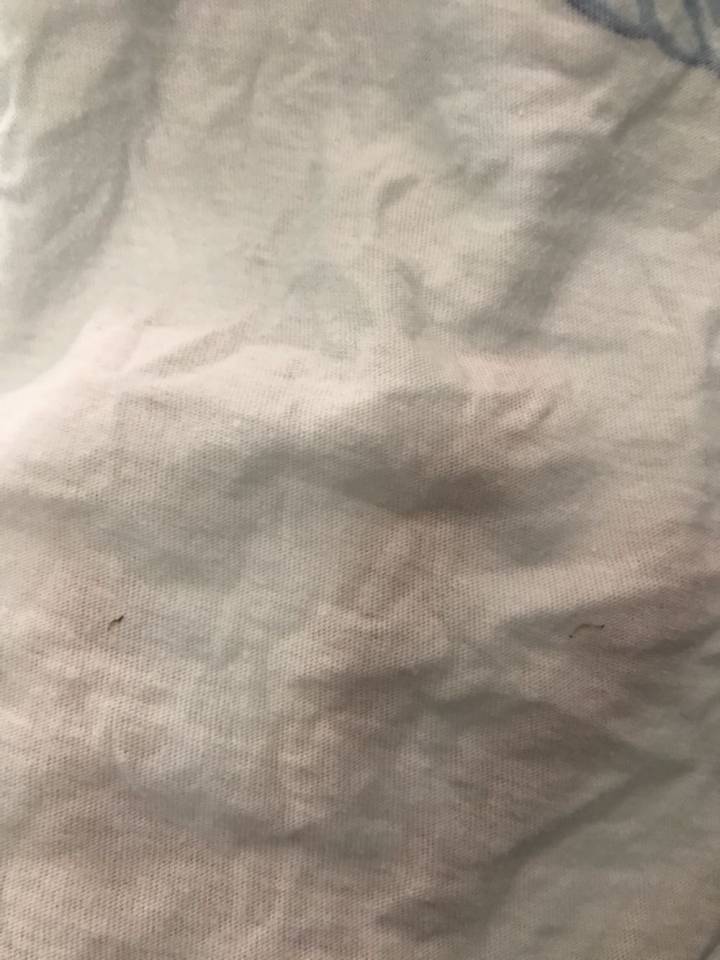 洗衣機有蟲？