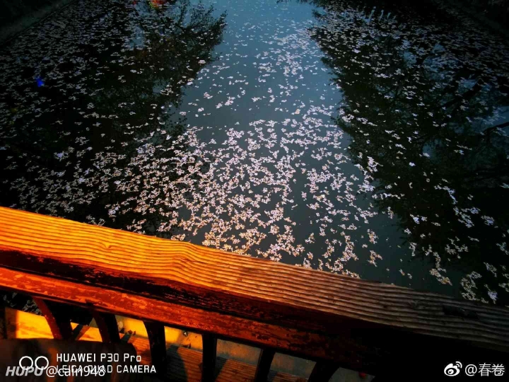 P30 pro 徠卡毒德味道又升級