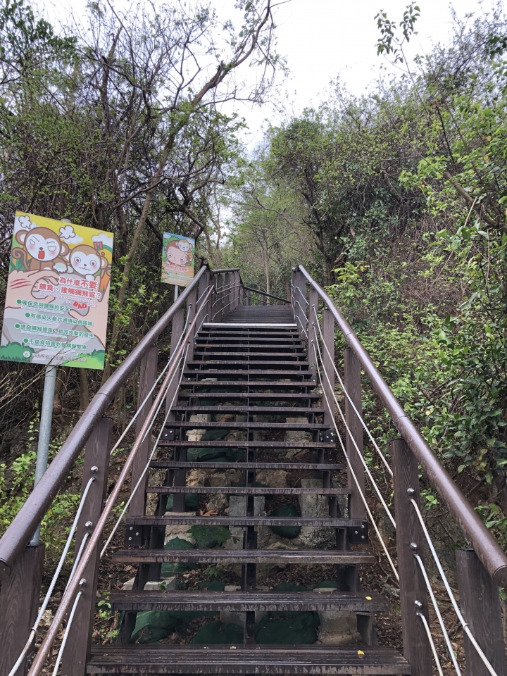 親近高雄大自然,北壽山(北柴山)散步行,路線分享!