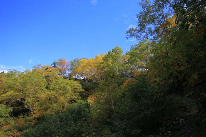 【日本登山初體驗】（三）前進奧穗高岳(下)panorama course