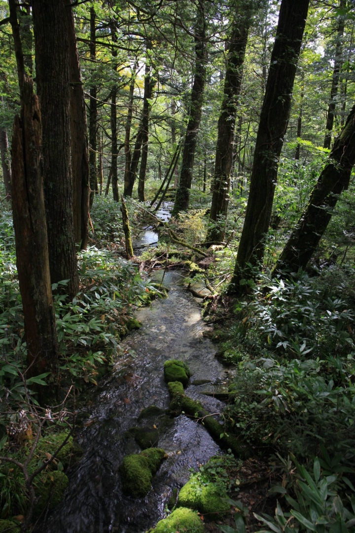 點我看大圖 【日本登山初體驗】旅途的尾聲(四)明神池與梓川右岸