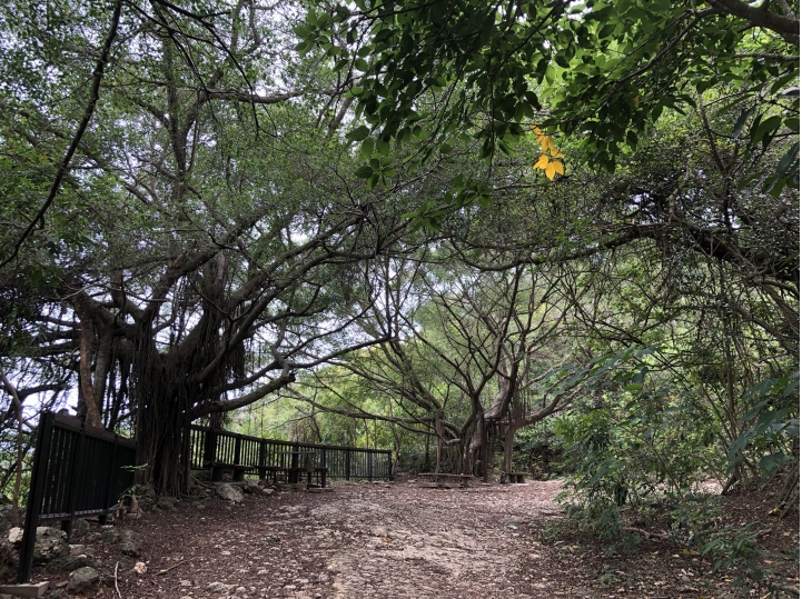 親近高雄大自然，南壽山（南柴山）散步行，路線分享！