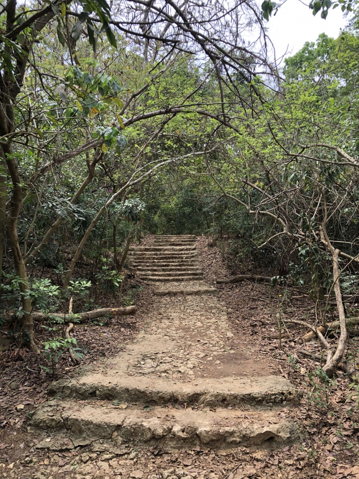 親近高雄大自然，南壽山（南柴山）散步行，路線分享！