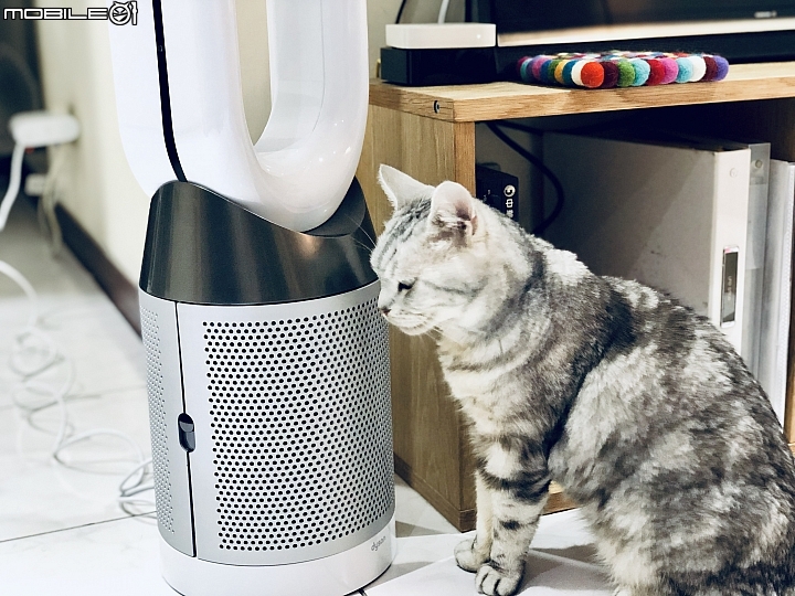 【適用】過敏季走開, 守護居家空氣, 打擊過敏原還你乾淨好氣場！《Dyson Pure Cool™智慧空氣清淨機》心得！