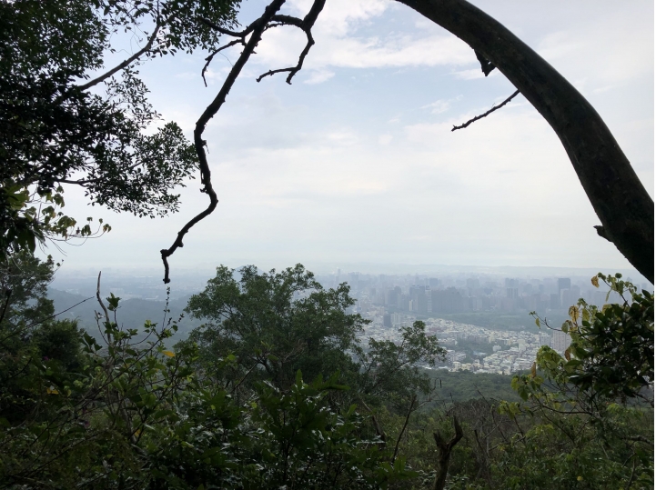 親近高雄大自然,北壽山(北柴山)散步行,路線分享!