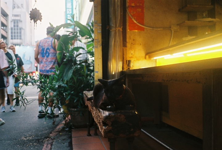 [Nikon TW20 QD]底片裝了就只好拍底片[Kodak 400]