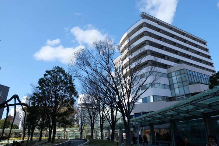 睽違已久的東京之旅 [圖多!]