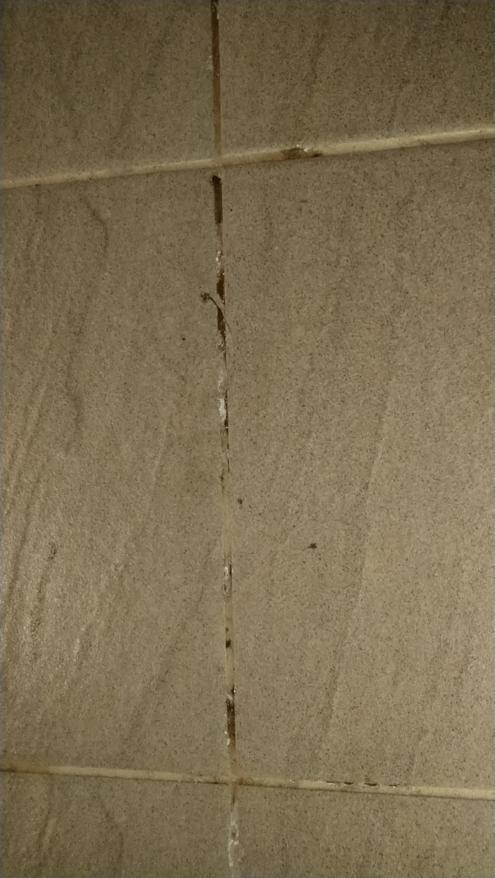 地磚冒水珠，請問是…