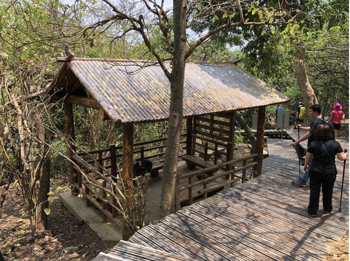 親近高雄大自然,北壽山(北柴山)散步行,路線分享!