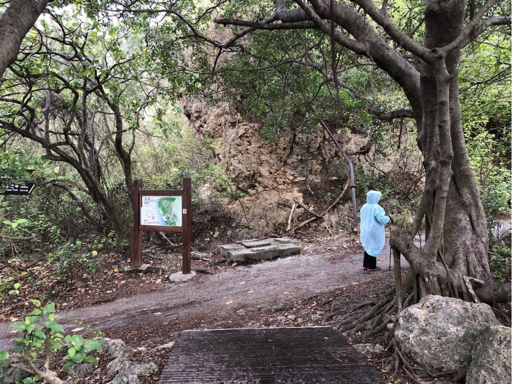 親近高雄大自然,北壽山(北柴山)散步行,路線分享!
