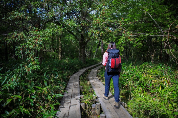 【日本登山初體驗】旅途的尾聲（四）明神池與梓川右岸