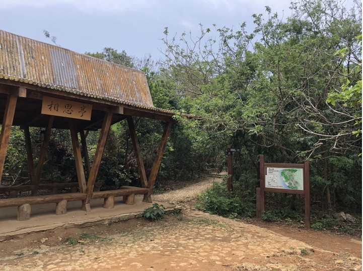 親近高雄大自然，南壽山（南柴山）散步行，路線分享！