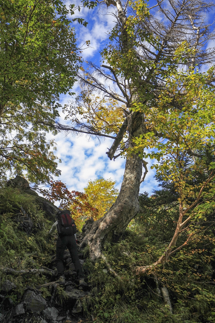 點我看大圖 【日本登山初體驗】(三)前進奧穗高岳(下)panorama course